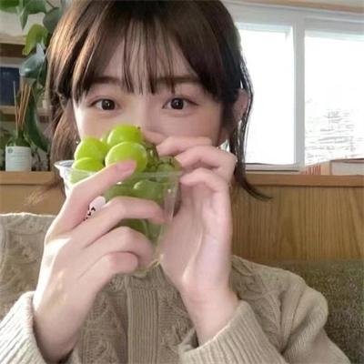 盗贼生涯